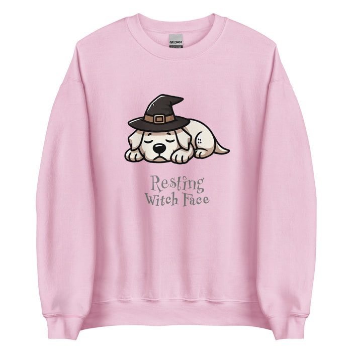 Witch Sweatshirt