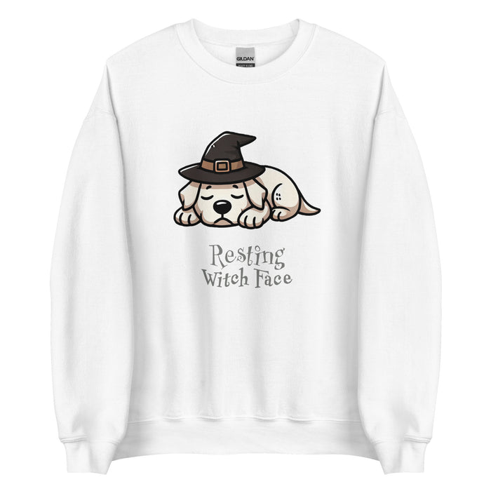 Witch Sweatshirt