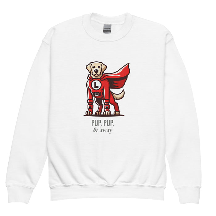 Superhero Youth Sweatshirt